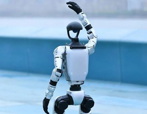 人形機器人產(chǎn)業(yè)迎來爆發(fā)期，宇樹科技啟動IPO引領行業(yè)新浪潮