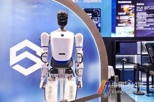 機器人生活秀 數量超60款，數貿會展現科技專業新圖景