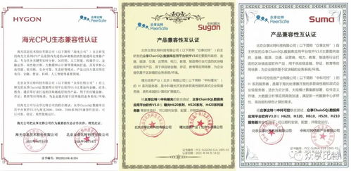 ChainSQL完成與海光、中科曙光、中科可控產品兼容性認證 開啟國產化數據庫新篇章