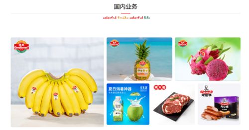 攜手并進(jìn)，共創(chuàng)未來 佳農(nóng)集團(tuán)與巧廚供應(yīng)鏈合作項(xiàng)目正式啟動